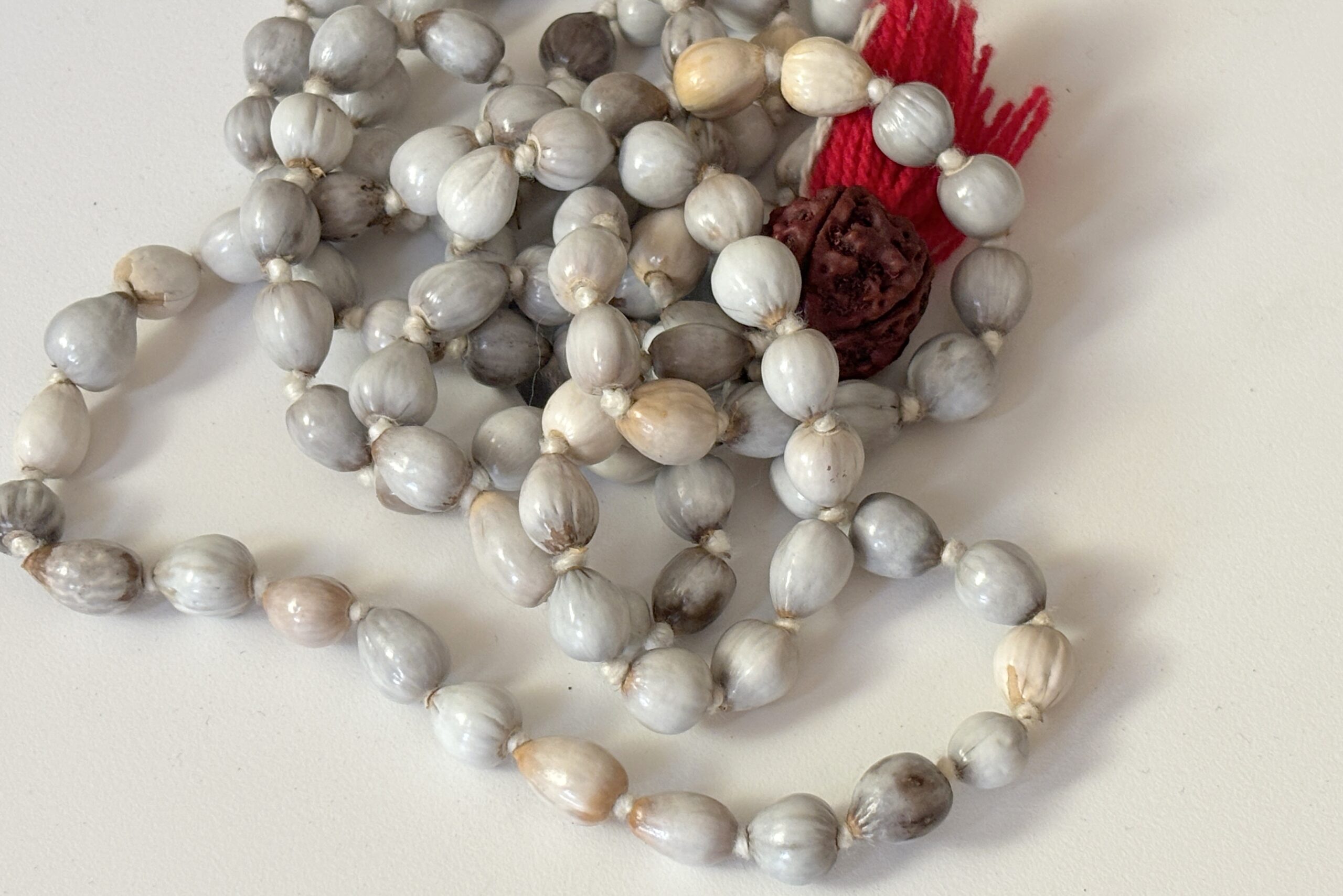 Vaijanti Mala